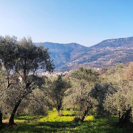 Bas De Villa. Cote D'Azur, A 20 Kms De Nice Contes  Eksteriør bilde