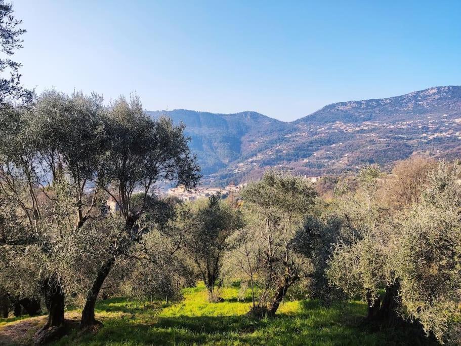 Bas De Villa. Cote D'Azur, A 20 Kms De Nice Contes  Eksteriør bilde
