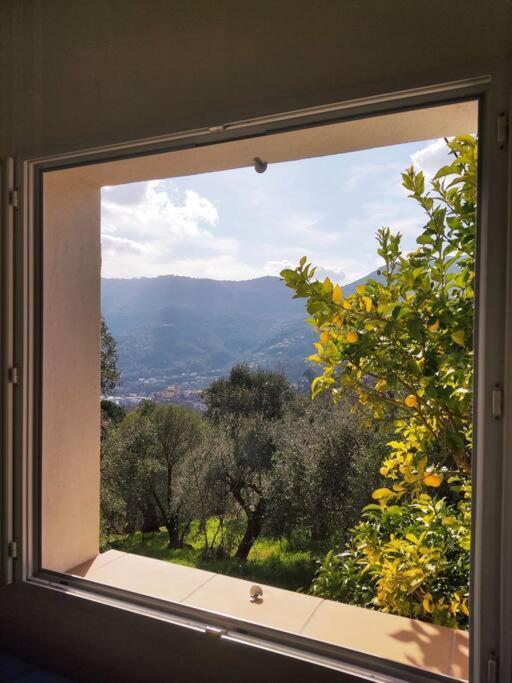 Bas De Villa. Cote D'Azur, A 20 Kms De Nice Contes  Eksteriør bilde